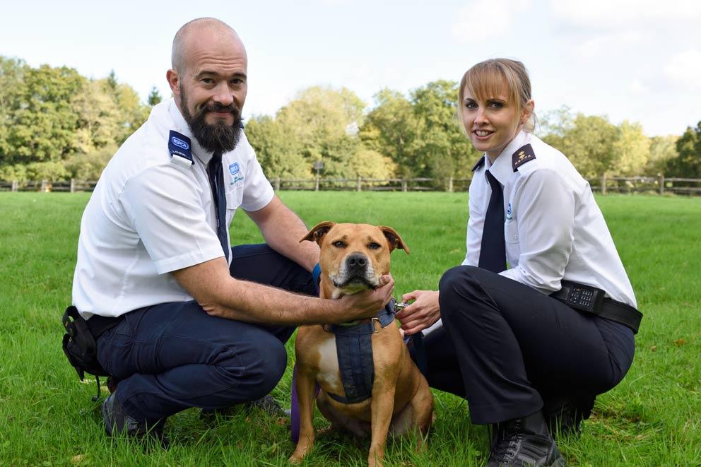 Two RSPCA inspectors in uniform kneelng next to a dog outside.