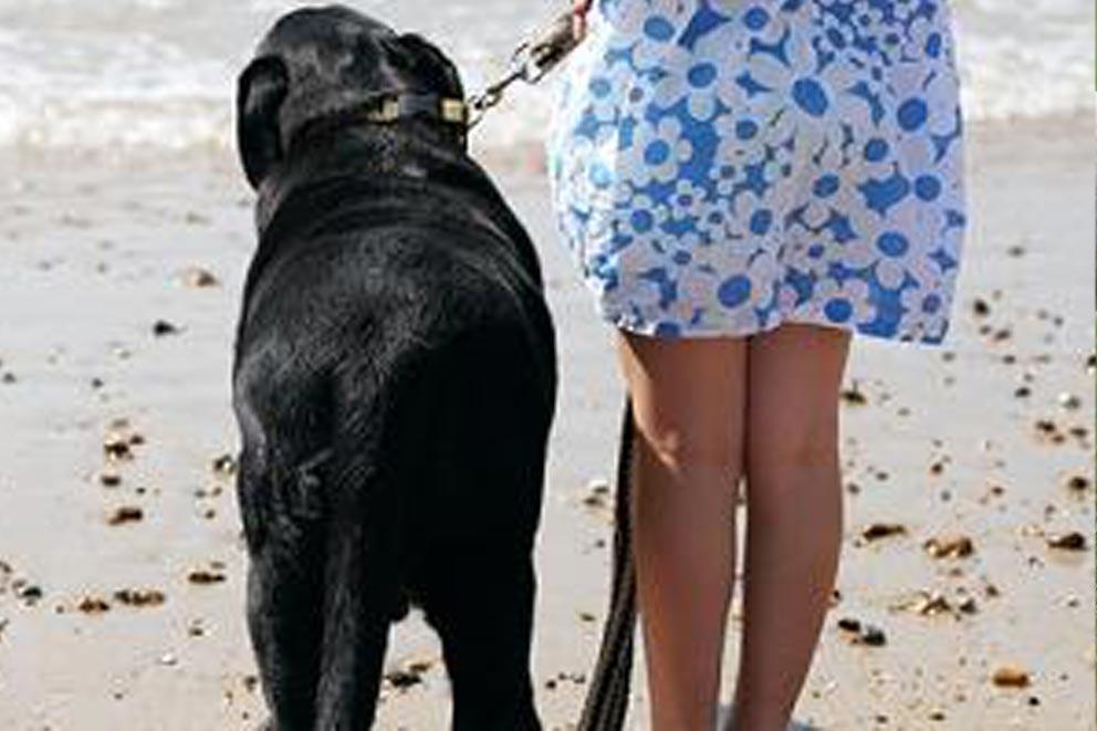 Black dog and woman on standing on the beach in summer.