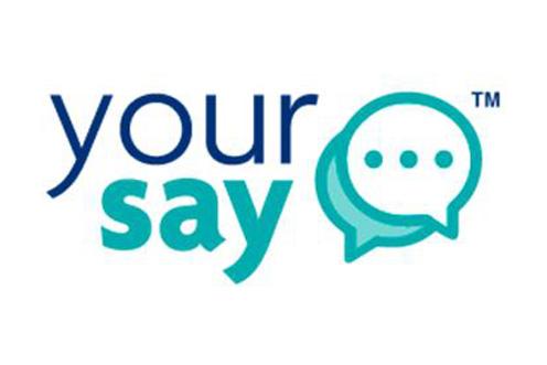 your say graphic