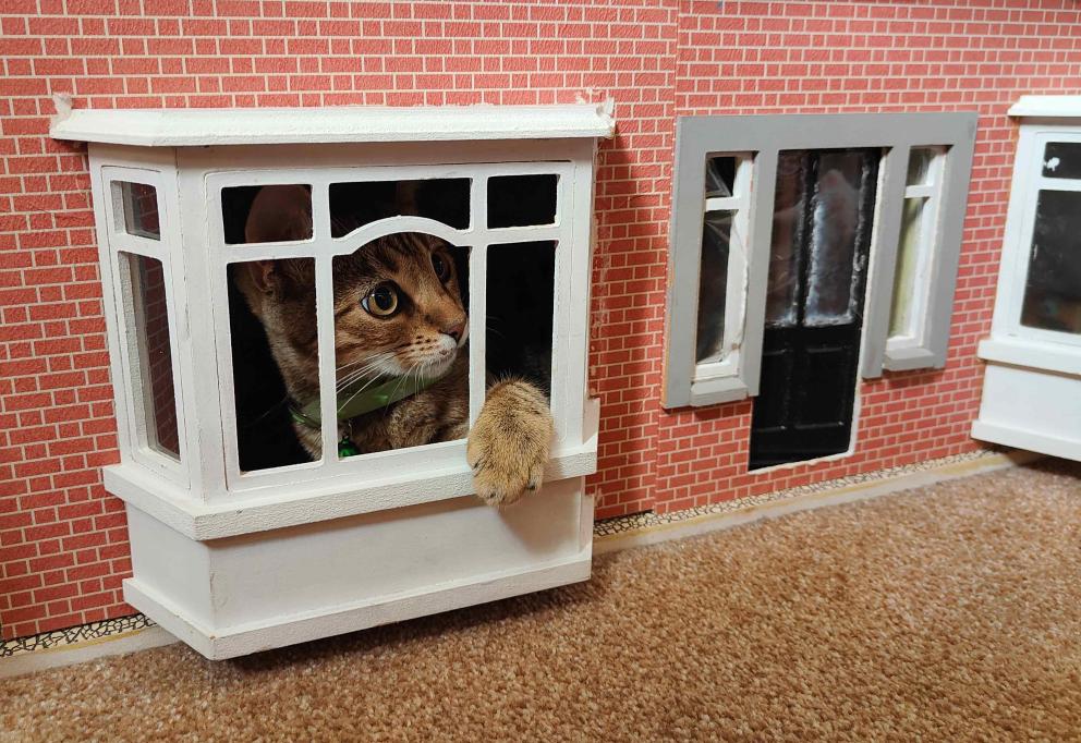 A cat sitting inside a dolls' house with their paw coming through the small window.