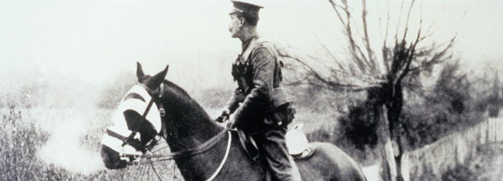 Inspector on horse working with the Army Veterinary Corps, France, circa 1915 © RSPCA photolibrary