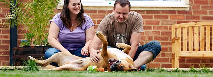 Couple sitting in the garden with their dog © RSPCA photolibrary
