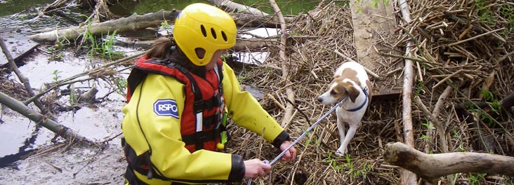 Inspector rescuing Jack Russell terrier © RSPCA photolibrary