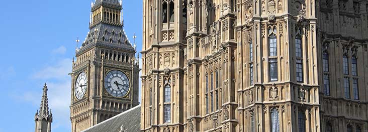 Big Ben and houses of parliament © RSPCA Photolibrary